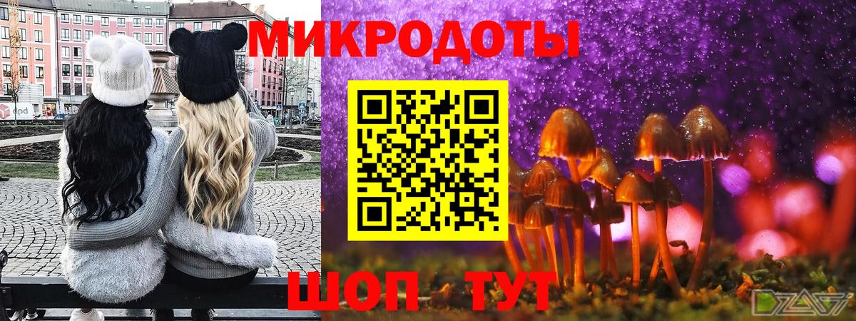 Псилоцибиновые грибы MAGIC MUSHROOMS Кинель